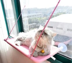 Kat Bed Luxe Zuignap Hangmat Nest Opknoping Kat Bed Raam Klimmuur Vensterbank Muur Wandmeubel Hangmat Katten Bed Huisdier Dierbenodigdheden Roze