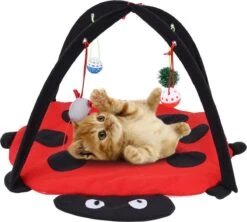 Kat Bed, Kat Tent, Opvouwbare Tent, Speelgoed, Interactieve Kat Speelgoed, Wasbaar, Kat Kussens, Kat Kussens, Bed Met Opknoping Speelgoed, Klokken En Muizen, 60 X 60 X 34 Cm