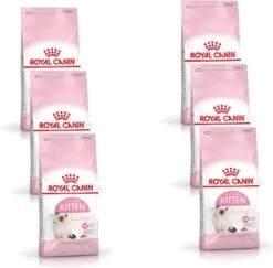 Royal Canin Fhn Kitten – Kattenvoer – 6 X 400 G