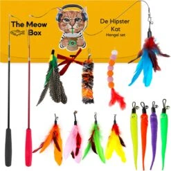 Allerion Kattenspeelgoed Hengel Set – Katten Speeltjes Intelligentie – 2 Hengels En 12 Veertjes – In Cadeauverpakking