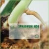 Sphagnum (spagnum 250 G) Mos Voor Stekjes, Terrariums En Amfibieën