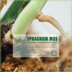 Sphagnum (spagnum 250 G) Mos Voor Stekjes, Terrariums En Amfibieën