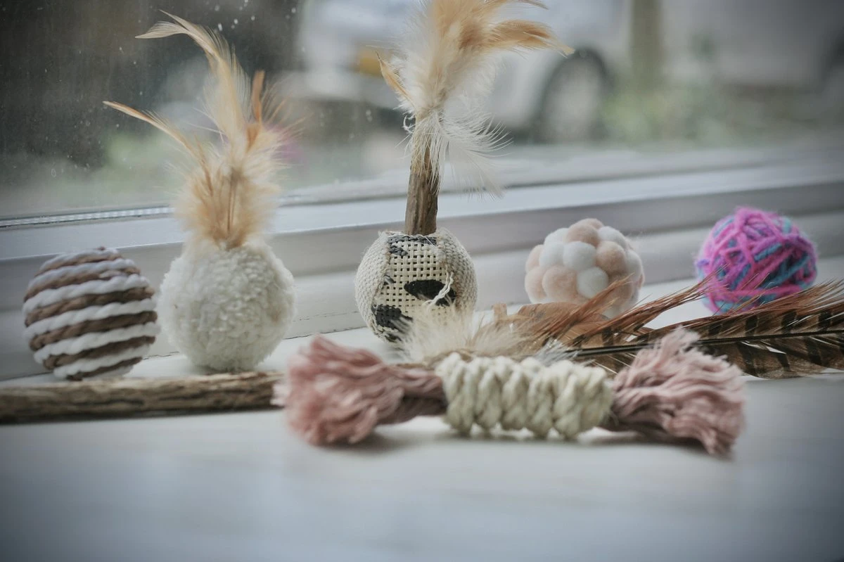 Leer Je Kat Kennen – 7 Delige Speelgoed Pakket – Katten Speelgoed Pakket – Katten Speelgoed – Katten Speelgoed Set 1 Leer Je Kat Kennen – 7 Delige Speelgoed Pakket – Katten Speelgoed Pakket – Katten Speelgoed – Katten Speelgoed Set