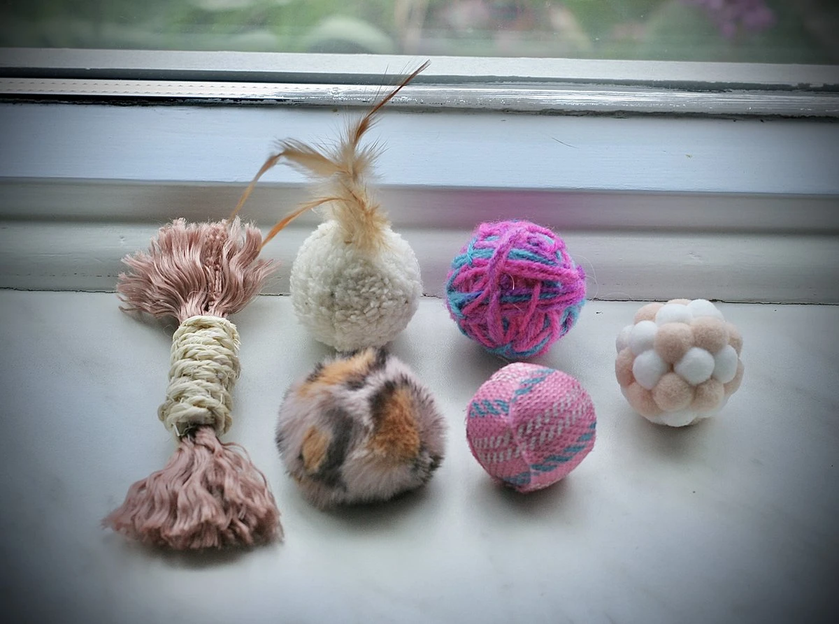 Leer Je Kat Kennen – 6 Delig Speelgoed Pakket – Katten Speelgoed Pakket – Katten Speelgoed – Katten Speelgoed Set 1 Leer Je Kat Kennen – 6 Delig Speelgoed Pakket – Katten Speelgoed Pakket – Katten Speelgoed – Katten Speelgoed Set