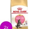 Royal Canin Fbn Kitten Maine Coon – Kattenvoer – 2 X 4 Kg